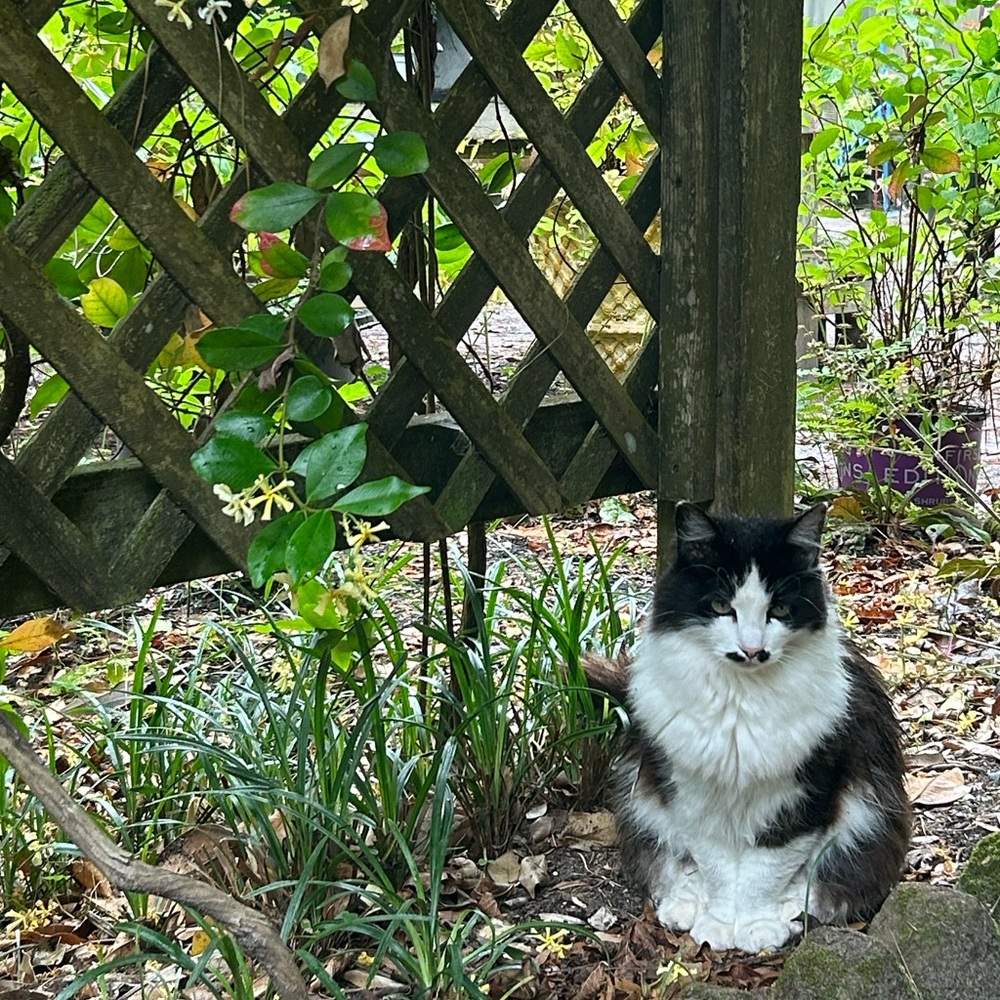 Meet your Posher, Emma